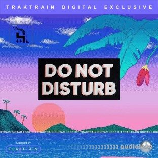 TrakTrain Do Not Disturb Guitar Loop Kit