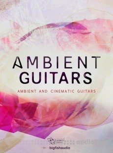 Dieguis Productions Ambient Guitars