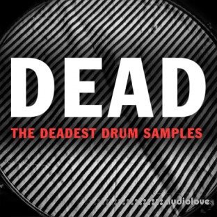 Circles Drum Samples DEAD