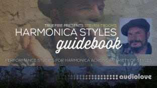 Truefire Steven Troch Harmonica Styles Guidebook