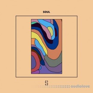 Samplified Soul EDM Sample Pack