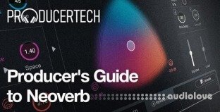 Producertech Producers Guide to Neoverb