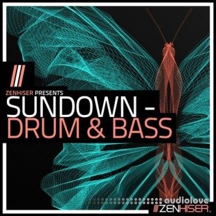 Zenhiser Sundown Drum and Bass