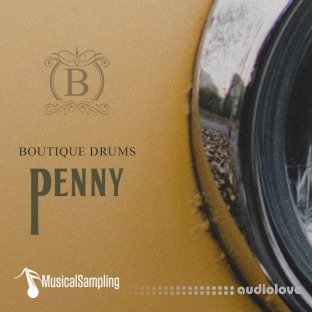 Musical Sampling Boutique Drums Penny