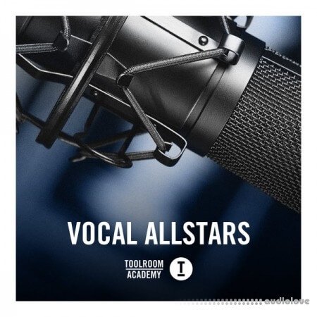 Toolroom Vocal Allstars