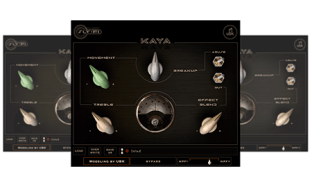 Sly-Fi Digital Kaya