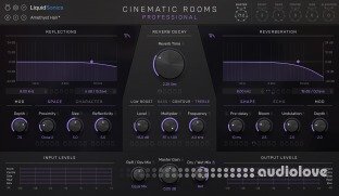 LiquidSonics Cinematic Rooms Professional