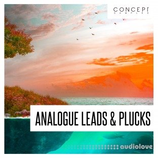 Concept Samples Analogue Leads and Plucks