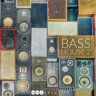 Audentity Records Bass House Vol.2