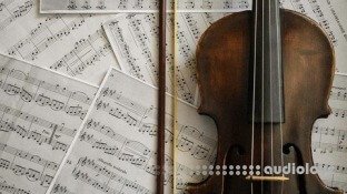 Udemy Beginner Violin Course Become a Violin Master from Scratch