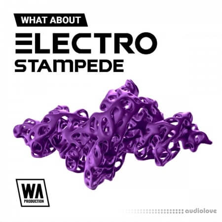 WA Production Electro Stampede
