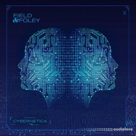 Field and Foley Cybernetica