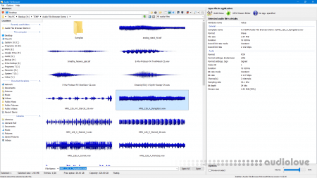 3delite Audio File Browser