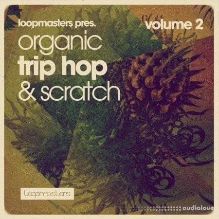 Loopmasters Organic Trip Hop And Scratch Volume 2