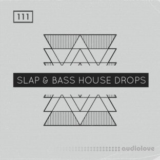 Bingoshakerz Slap and Bass House Drops