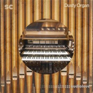 Sonic Collective Dusty Organ