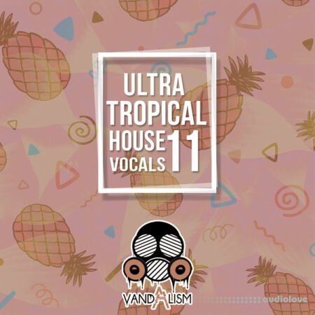 Vandalism Ultra Tropical House Vocals 11