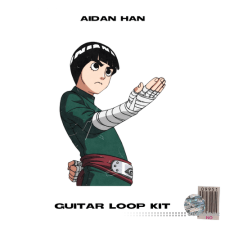 Aidan Han rock lee guitar loop kit WAV