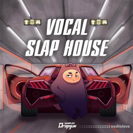 Dropgun Samples Vocal Slap House