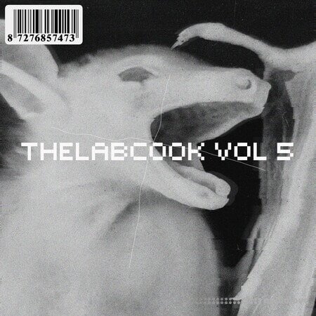 Thelabcook Drum Kit Vol.5 WAV