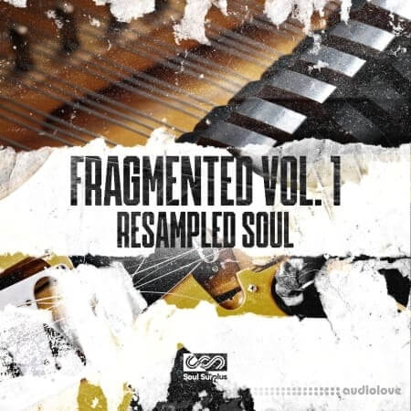 Soul Surplus Fragmented Vol.1 Resampled Soul WAV