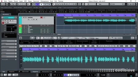 Steinberg Cubase LE AI Elements