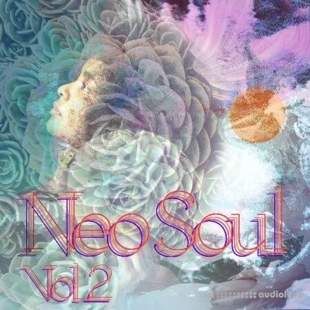 Drumdrops Neo Soul Vol.2 WAV