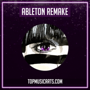 Top Music Arts Purple Disco Machine Hypnotized Ableton Remake (Dance Template)