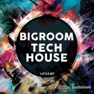 Little Bit Bigroom Tech House