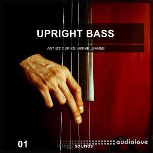 Image Sounds Upright Bass 1