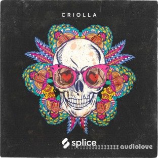 Splice Originals Criolla Latin Percussion