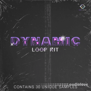 YBH Beats Dynamic Loop Kit by YBH Beats and Wave808