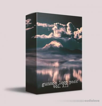Gunso's Loop Pack Vol. XII
