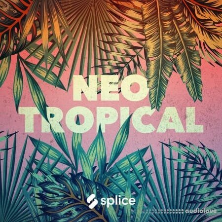 Splice Originals Neo Tropical WAV Synth Presets