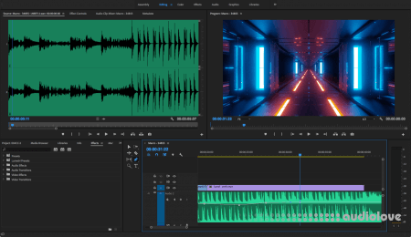 SkillShare Adobe Premiere Pro Audio Editing Learn how to edit audio in Adobe Premiere Pro TUTORiAL