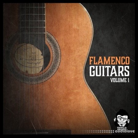 Vanilla Groove Studios Flamenco Guitars Vol.1