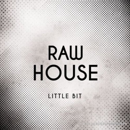 Little Bit Raw House WAV