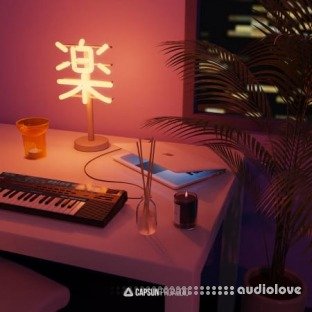 Capsun ProAudio Bedroom Beats and Lofi Hip-Hop Vol.3