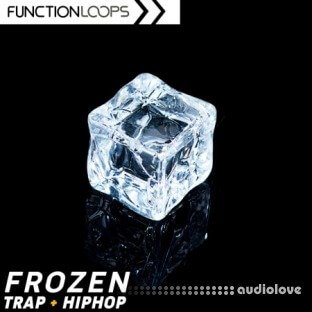 Function Loops Frozen  Trap and Hip Hop