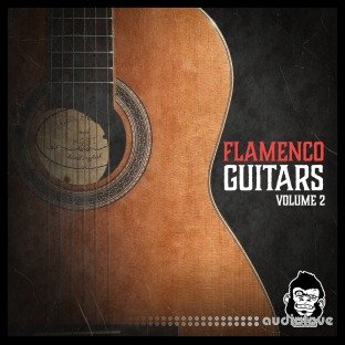 Vanilla Groove Studios Flamenco Guitars Vol.2