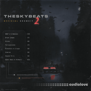 Theskybeats Official Drumkit 2