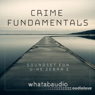 Whatabaudio Crime Fundamentals