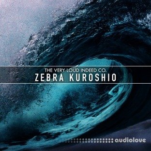 The Very Loud Indeed Co. Zebra Kuroshio