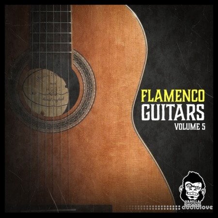 Vanilla Groove Studios Flamenco Guitars Vol.5