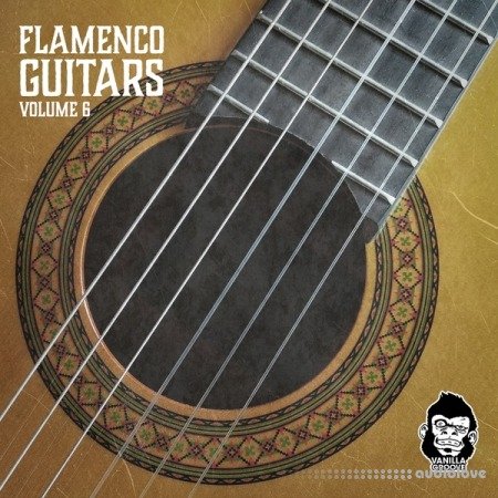 Vanilla Groove Studios Flamenco Guitars Vol.6