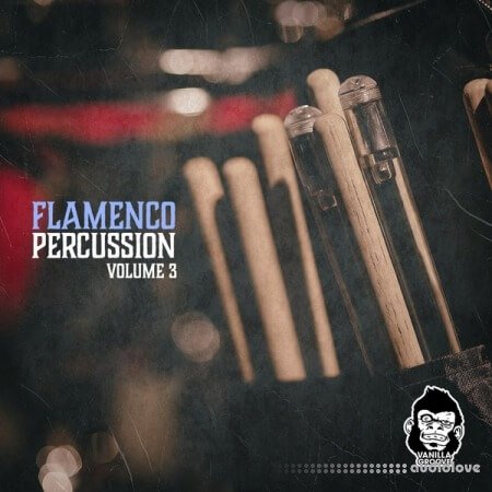 Vanilla Groove Studios Flamenco Percussion Vol.3