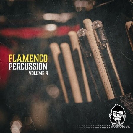 Vanilla Groove Studios Flamenco Percussion Vol.4