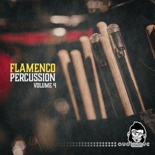 Vanilla Groove Studios Flamenco Percussion Vol.4