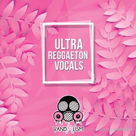 Vandalism Ultra Reggaeton Vocals WAV