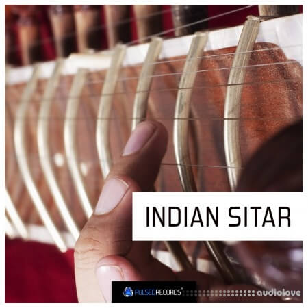 Pulsed Records World Series Indian Sitar